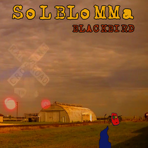 Blackbird - Radio Edit by Solblomma