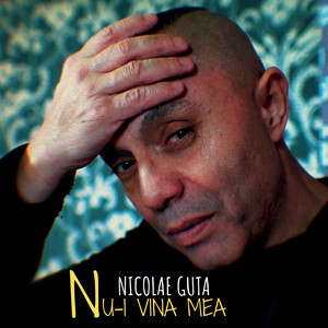 Nicolae Guță - Nu-i vina mea