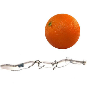 粋恋 水樹奈々 オルゴール Song By Dress Spotify