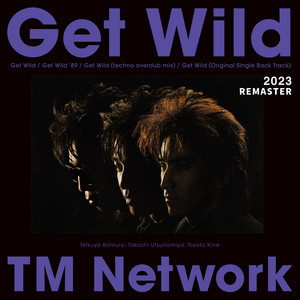 TM NETWORK - Get Wild Original Single Back Track (2023 REMASTER)