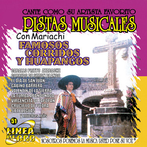 Pistas Musicales Con Mariachi 2(中古品) Pistas Musicales Con Mariachi Famosos Corridos y Huapangos - Album