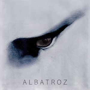 ALBATROZ / PENSAR PESAR CAIR — ALBATROZ