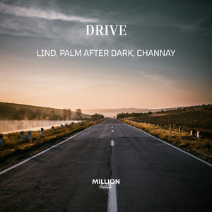Drive by Lind, palm after dark, Channay