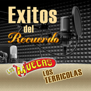Exitos Del Recuerdo album