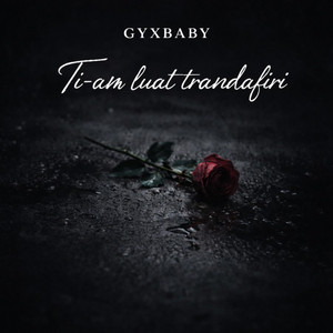 GYXBaby - Ti-am luat trandafiri