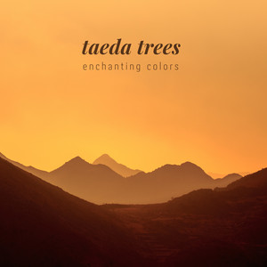 Enchanting Colors by Taeda Trees
