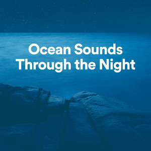 Ocean Sounds Through the Night album
