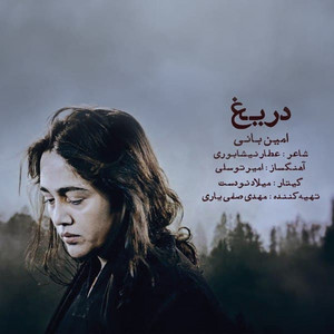Darigh by Amin Bani