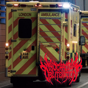 Moshpit Casualties by Myocardium Obliteration, Logan Zakk Harmer