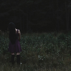 she was meant to be wild by abella bronte