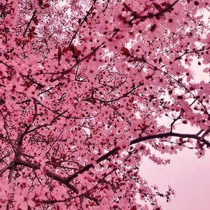 Spring Game by Low Gs