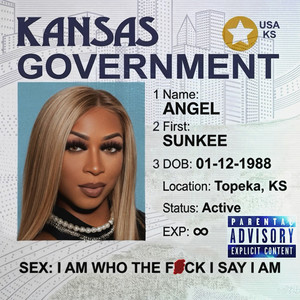 Sunkee Angel - Kansas Government