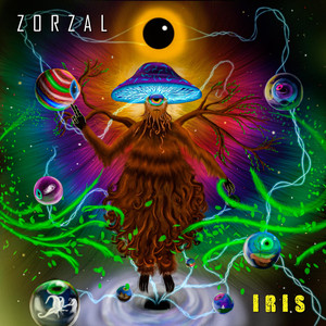 Zorzal poster