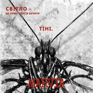 Світло - це лише спосіб бачити тіні