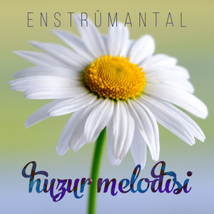 Güncel Paylaşımlar TV - Huzur Melodisi