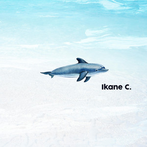Dolphins