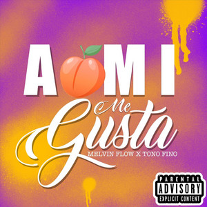 A Mi Me Gusta by Melvin Flow
