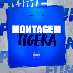 Montagem Tigera