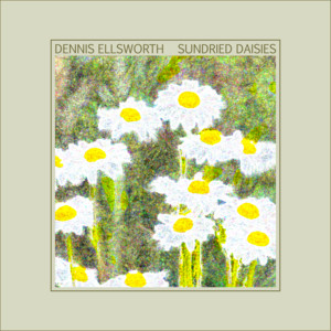 Sundried Daisies by Dennis Ellsworth