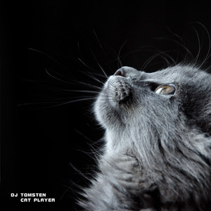 Dj tomsten - Cat Player