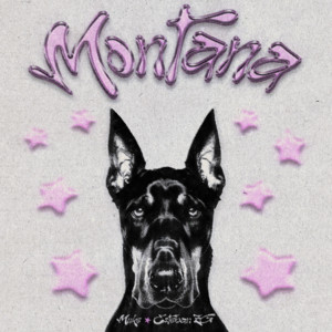 Montana by Miike, Esteban ZG