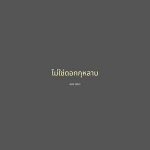 ไม่ใช่ดอกกุหลาบ