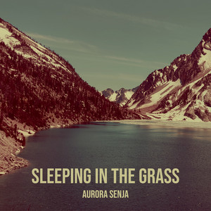 Sleeping in the Grass by Aurora Senja