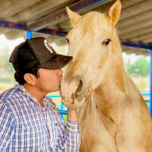 Mijo Polanco - Felicidad