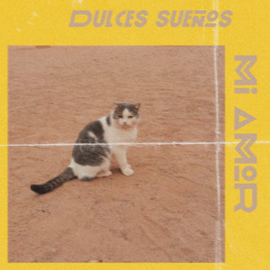 album cover: Dulces sueños mi amor