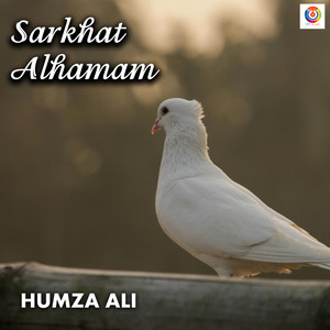 Humza Ali - Sarkhat Alhamam
