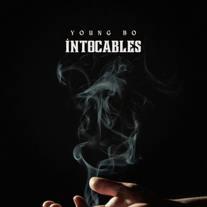 INTOCABLES by Young Bo