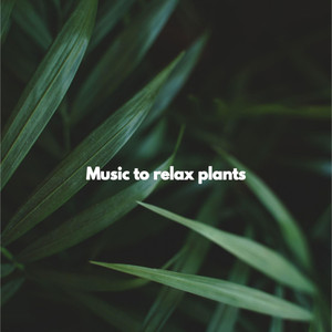 Music to relax plants album