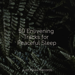 50 Enlivening Tracks for Peaceful Sleep