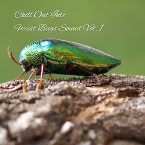 Chill Out Into Forest Bugs Sound Vol. 1 album