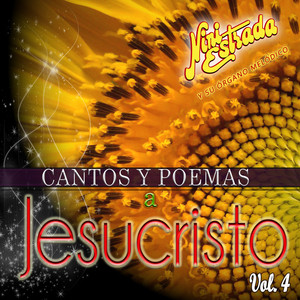 Nini Estrada Y Su Organo Melodico - Entre Tus Manos