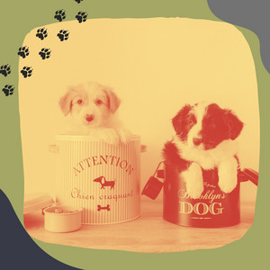 Music for Happy Dogs - Cool Chill Out album