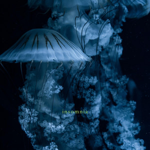 insomnia by ZWILLINGE