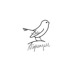 Nightingale by Steven Howard