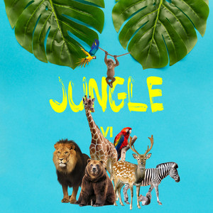 VI - Jungle