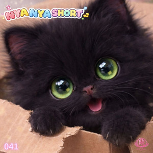 HIDE - Nya Nya Short041