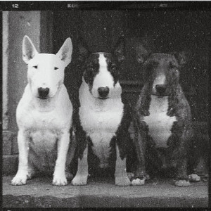 Album artwork