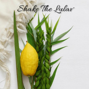 Shake The Lulav by DJ MUSIIX