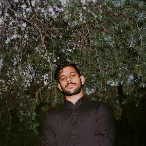 Head In The Trees by Hotel Garuda