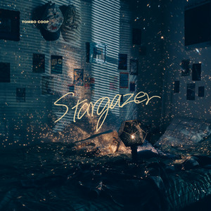 STARGAZER
