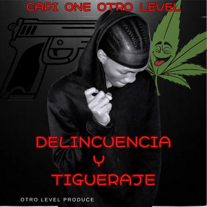 Delincuencia y Tigueraje by Capi One Otro Level, Otro Level Produce