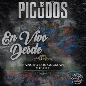Los Picudos - Se Vale Soñar (En vivo)