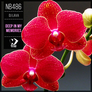 Deep in My Memories - Original Mix by DJ Lava