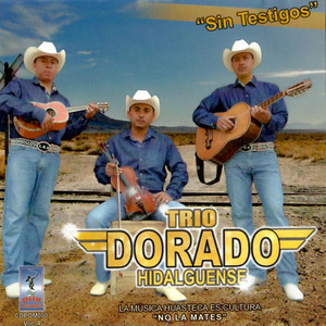Sin testigos