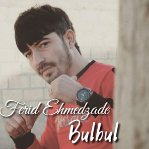 Ferid Ehmedzade - Bulbul