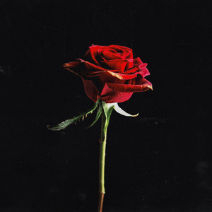 FLAMENCO GARAGE by prodbycircus